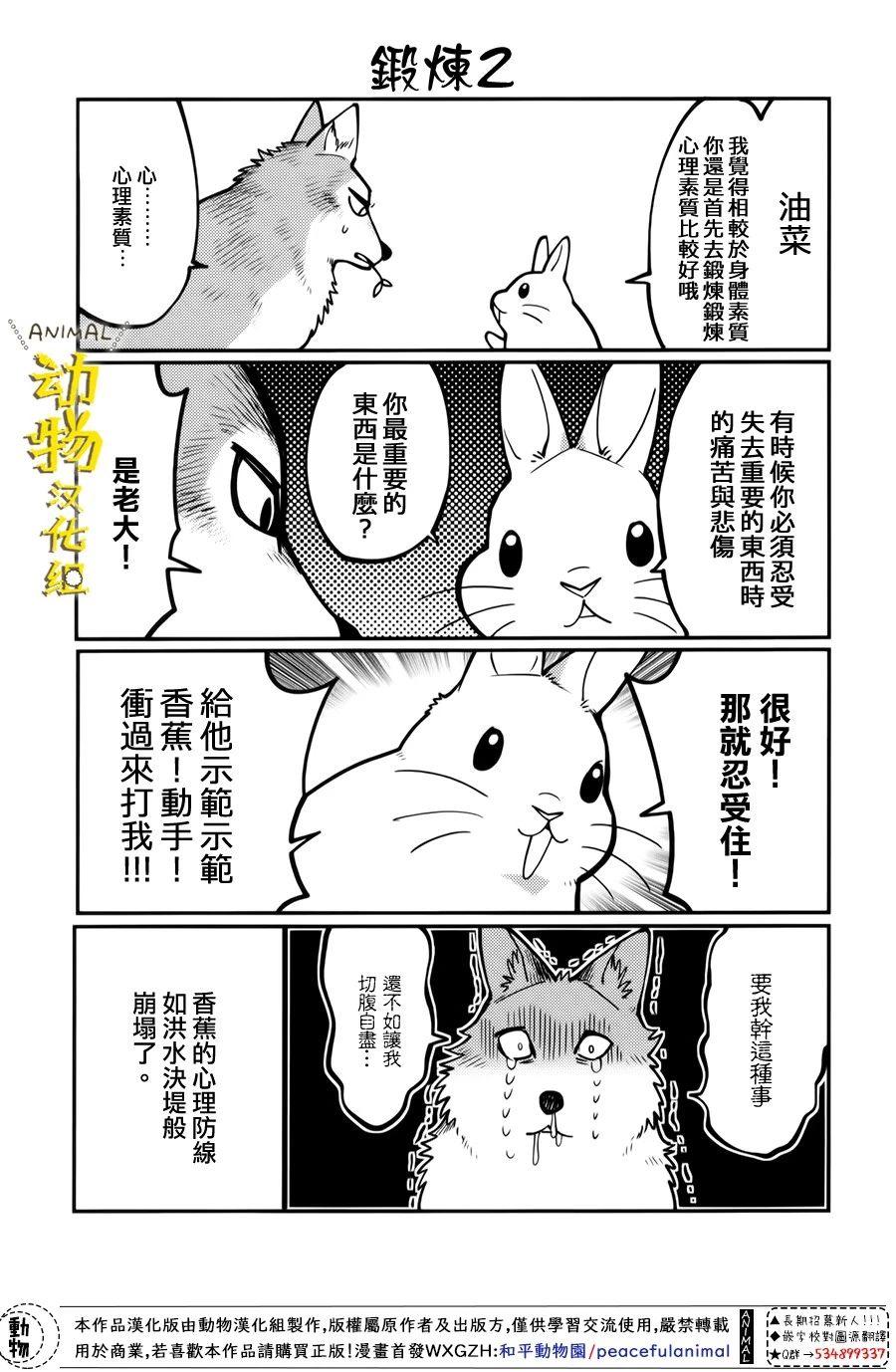 兔子即是正义 - 第16话 - 第5张图