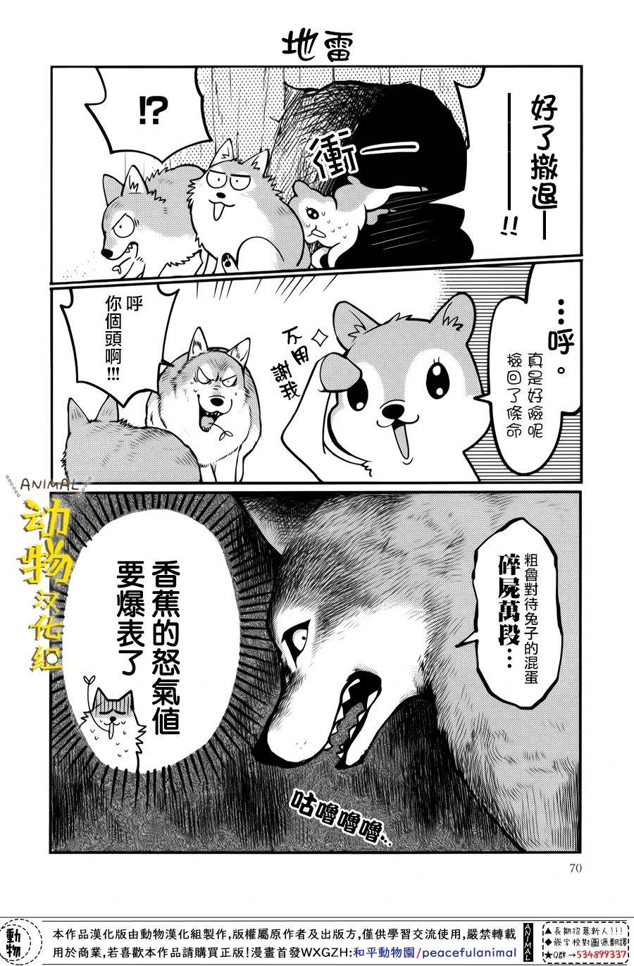 兔子即是正义 - 第18话 - 第6张图