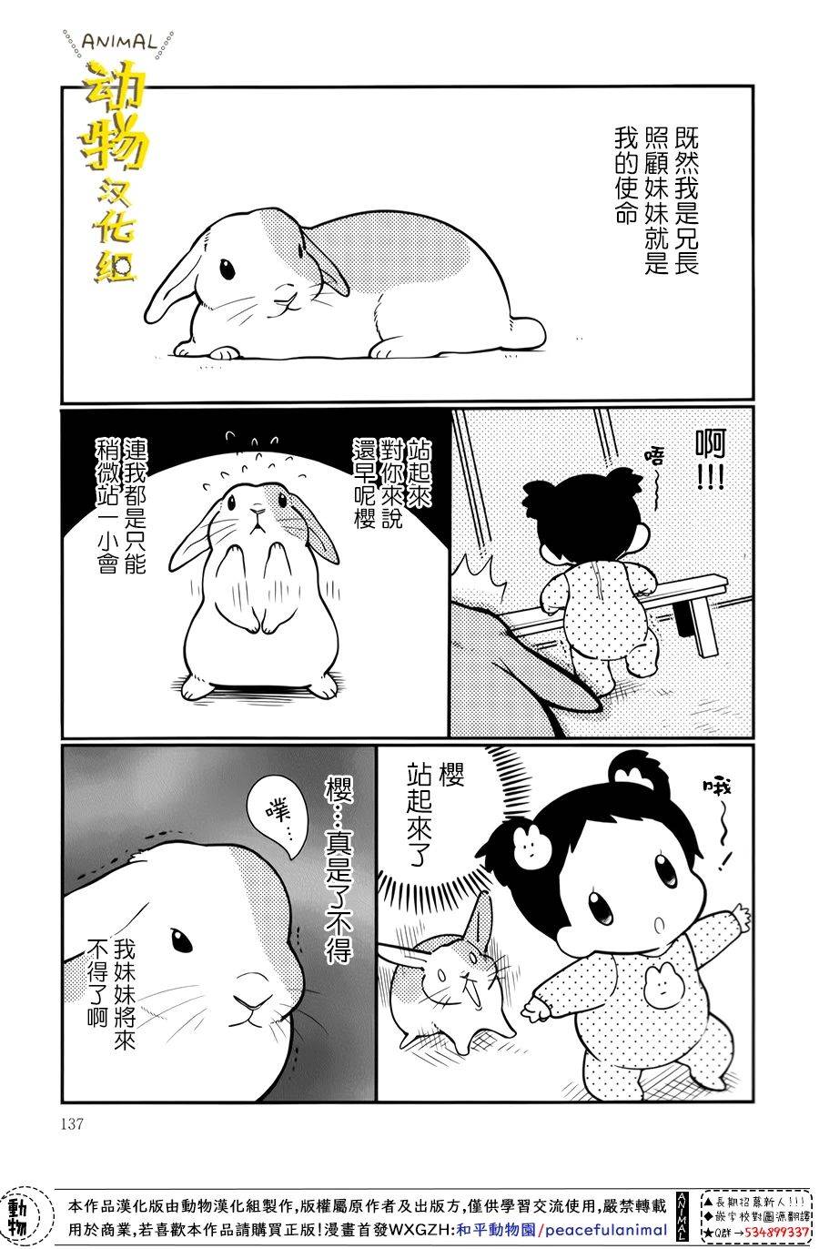 兔子即是正义 - 第25话 - 第3张图