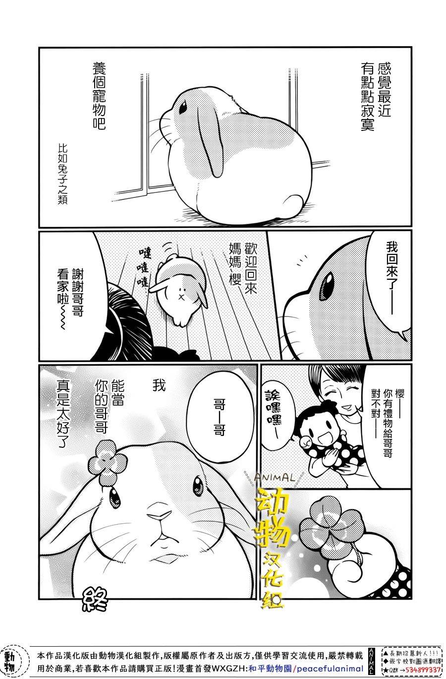 兔子即是正义 - 第25话 - 第6张图