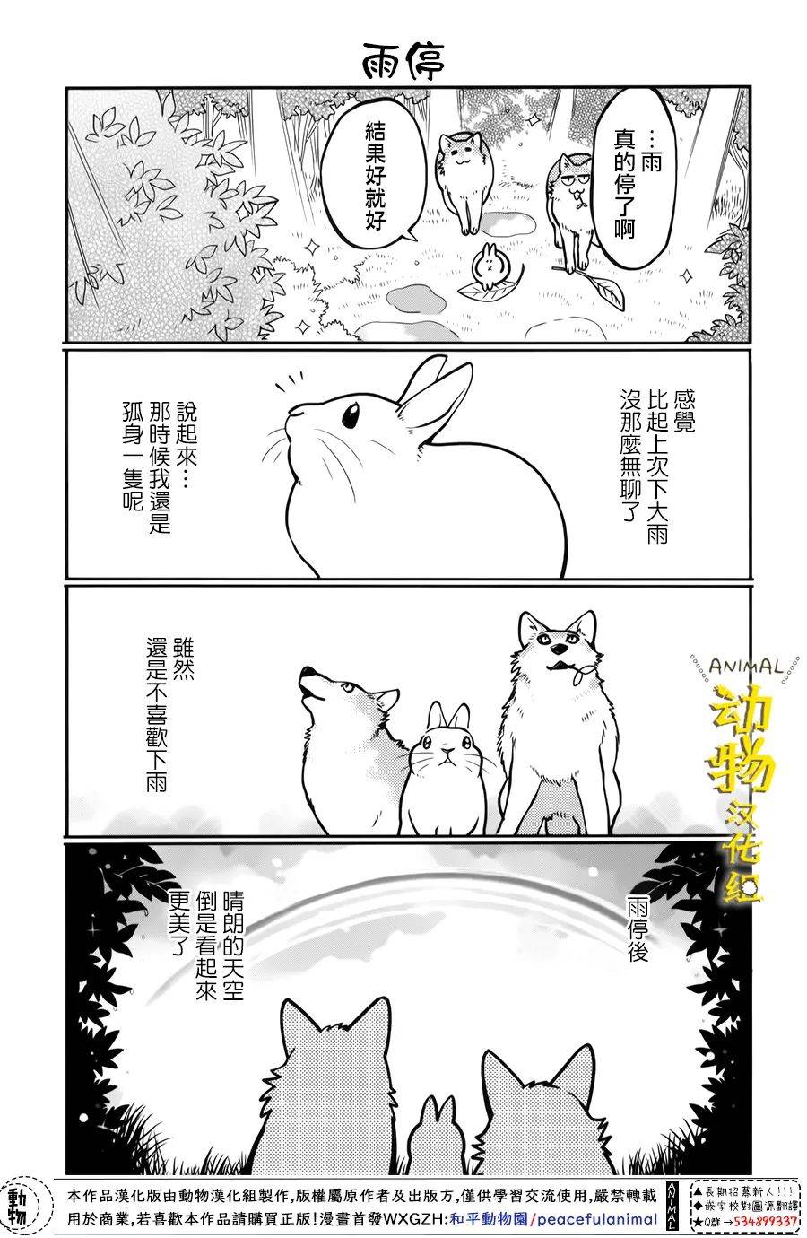 兔子即是正义 - 第27话 - 第12张图