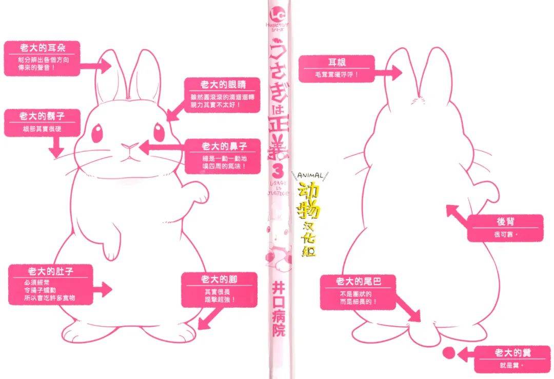 兔子即是正义 - 第27话 - 第2张图