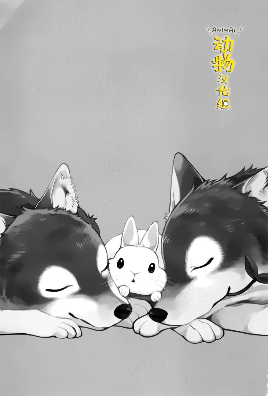 兔子即是正义 - 第27话 - 第3张图