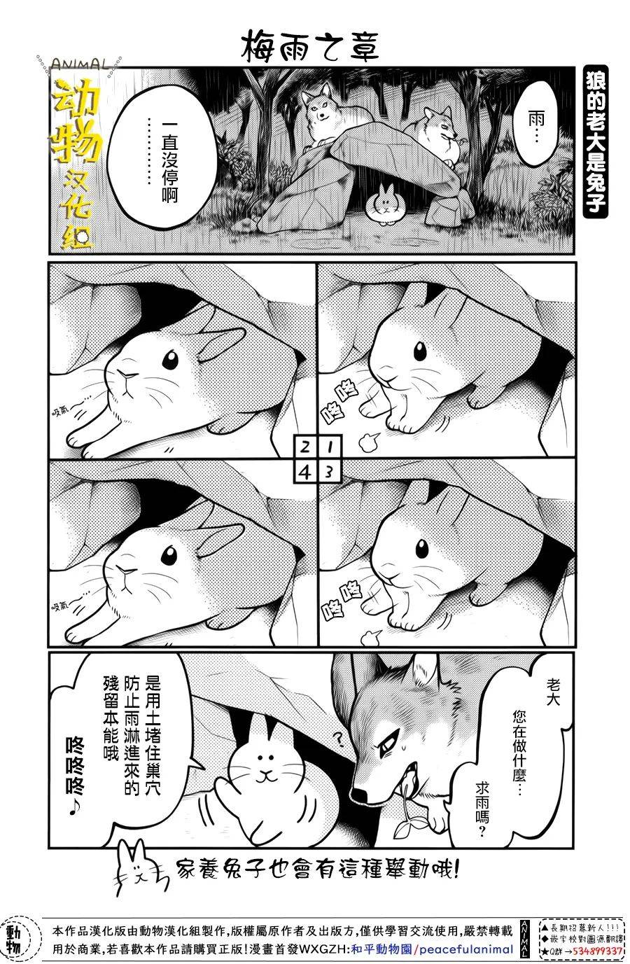 兔子即是正义 - 第27话 - 第5张图