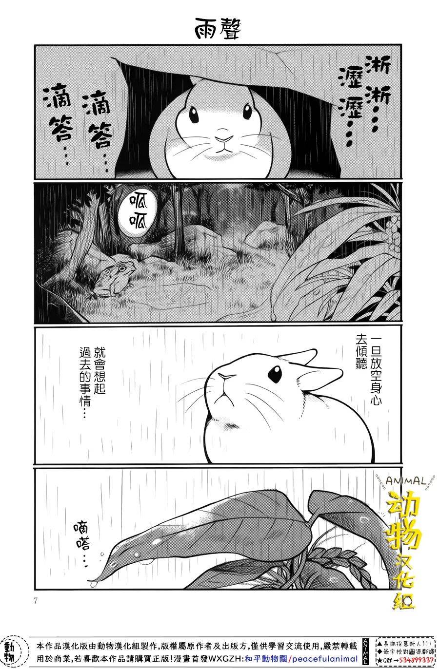 兔子即是正义 - 第27话 - 第7张图