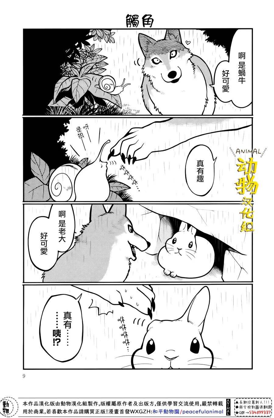 兔子即是正义 - 第27话 - 第9张图