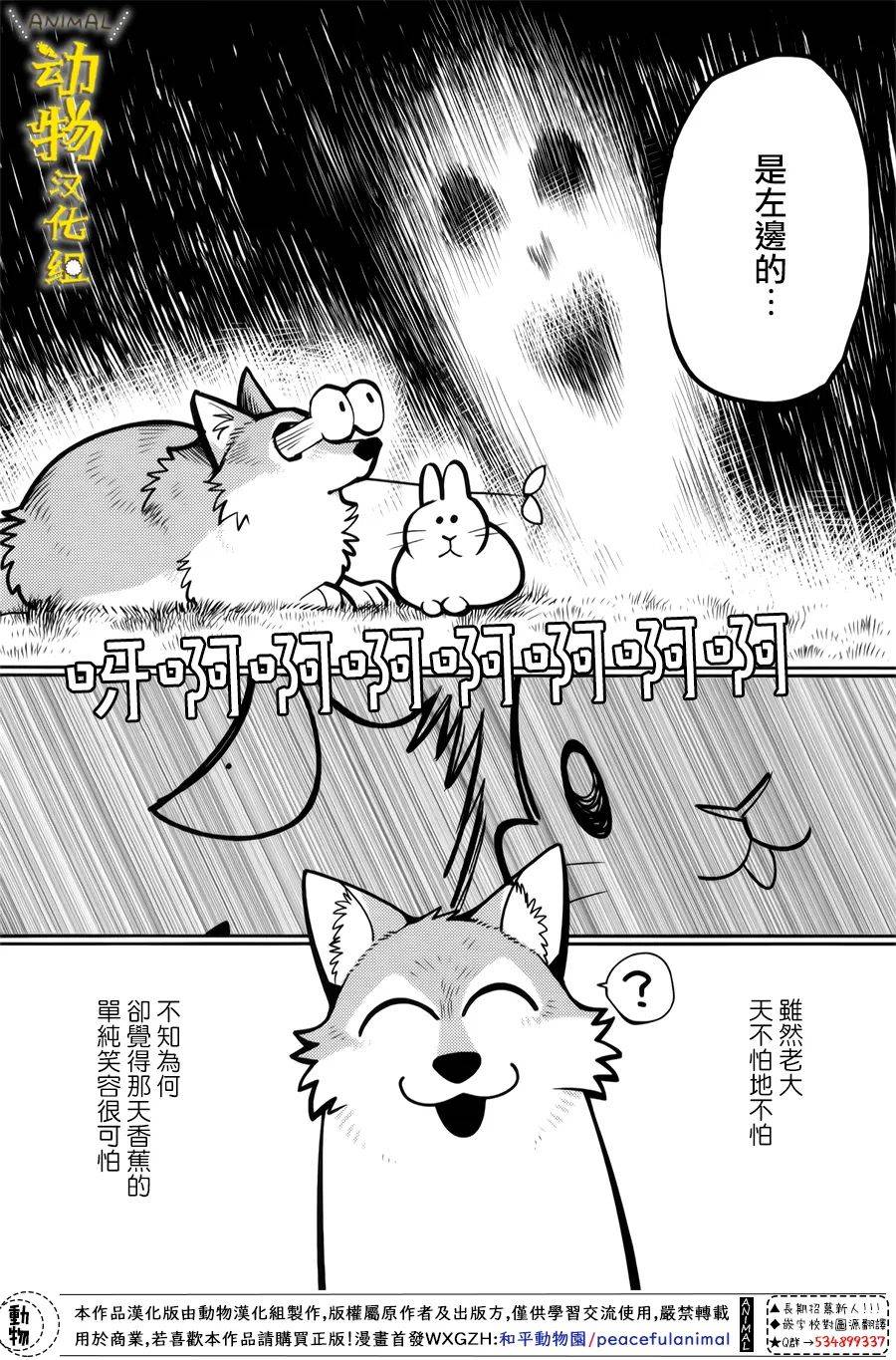 兔子即是正义 - 第28话 - 第9张图