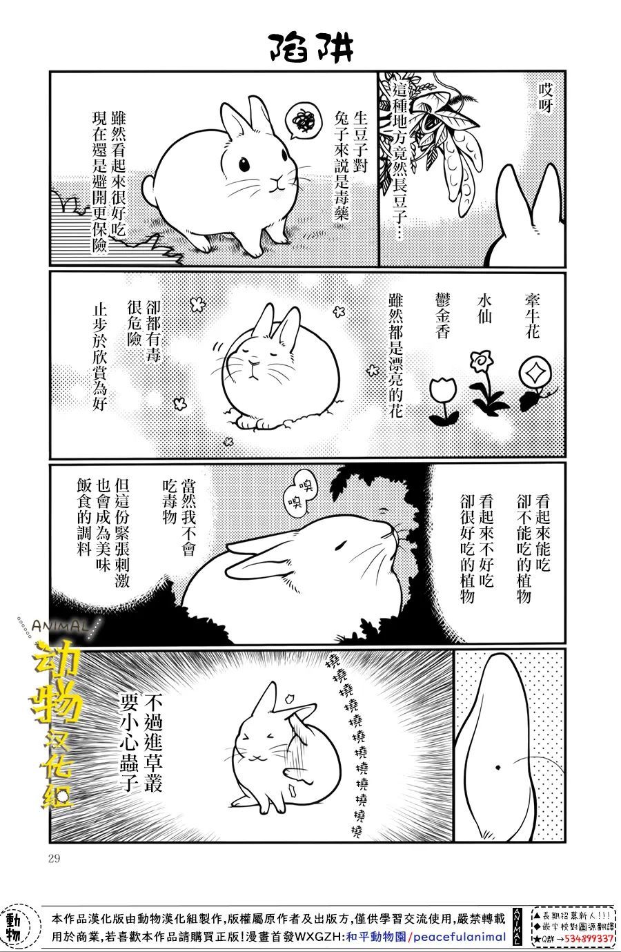 兔子即是正义 - 第29话 - 第5张图