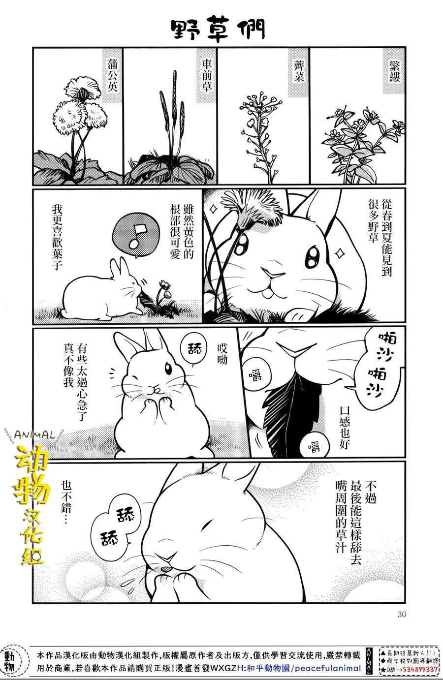 兔子即是正义 - 第29话 - 第6张图