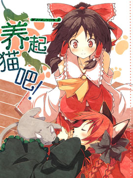 一起养猫吧！