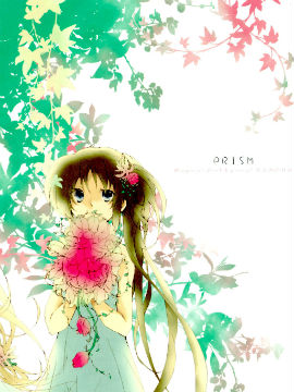PRISM（棱镜）