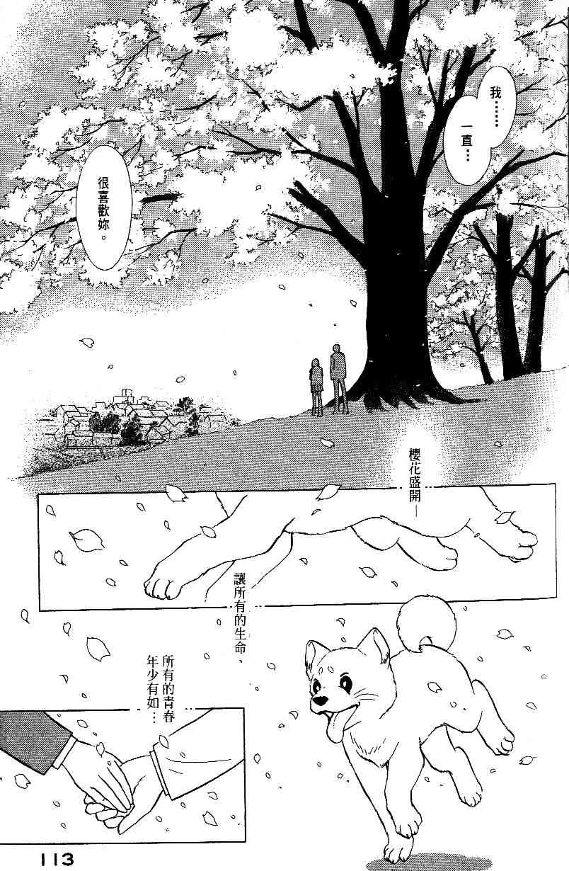 柴王 - VOL01 - 第116张图