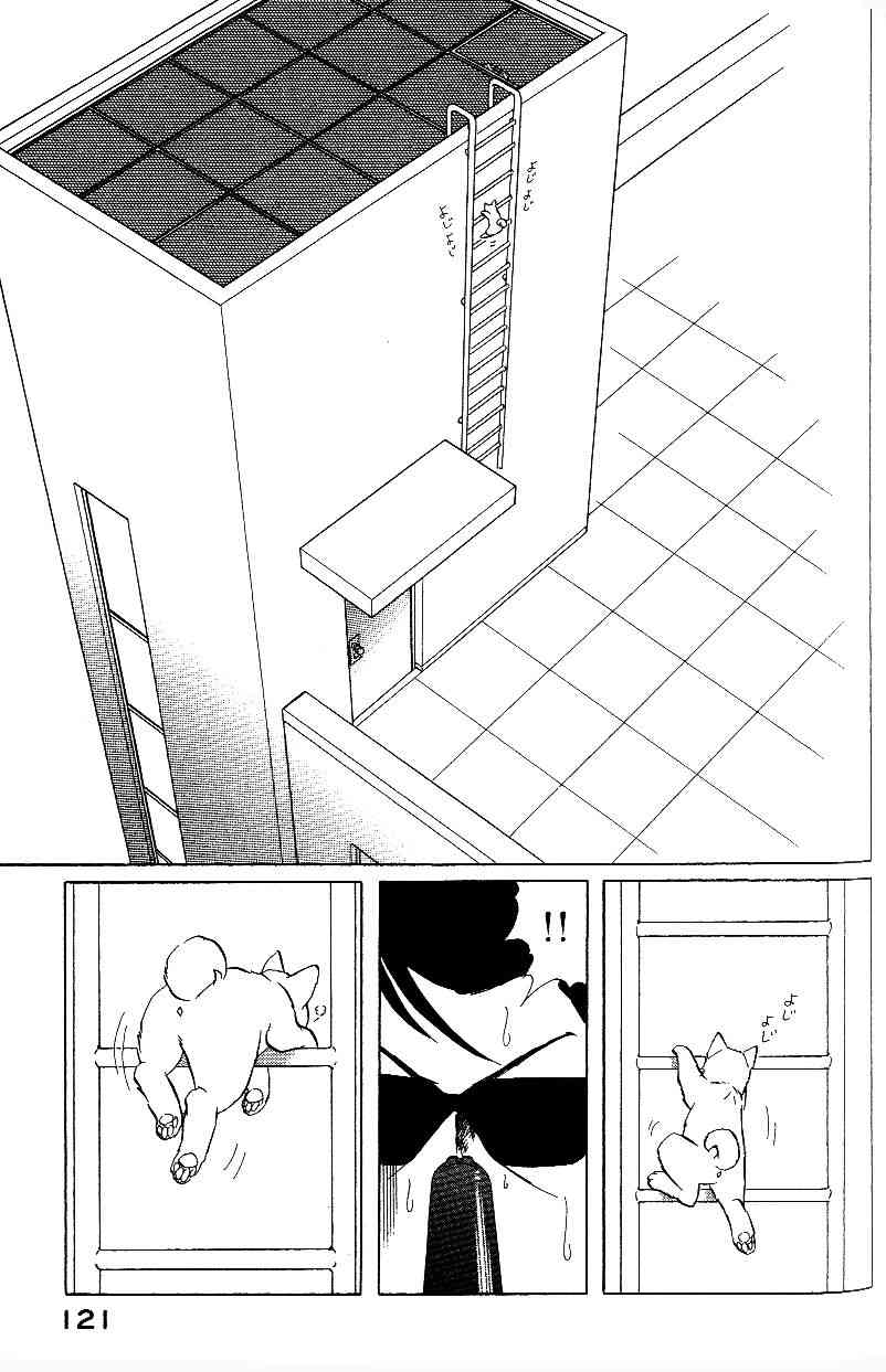 柴王 - VOL01 - 第124张图