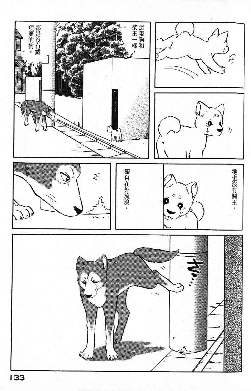 柴王 - VOL01 - 第136张图