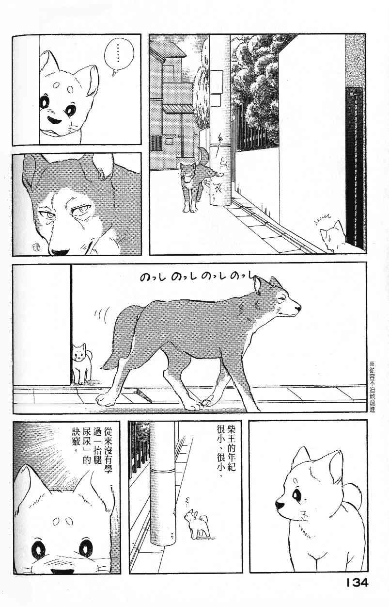 柴王 - VOL01 - 第137张图