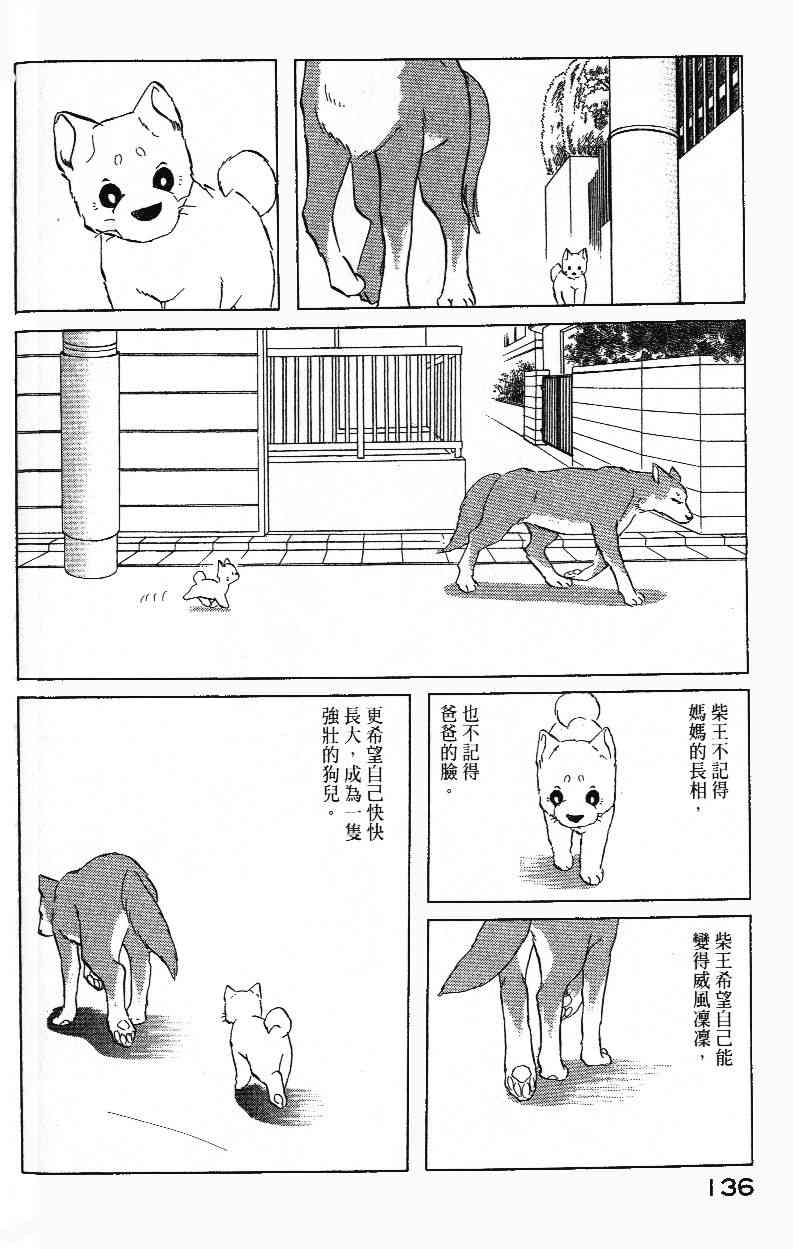 柴王 - VOL01 - 第139张图