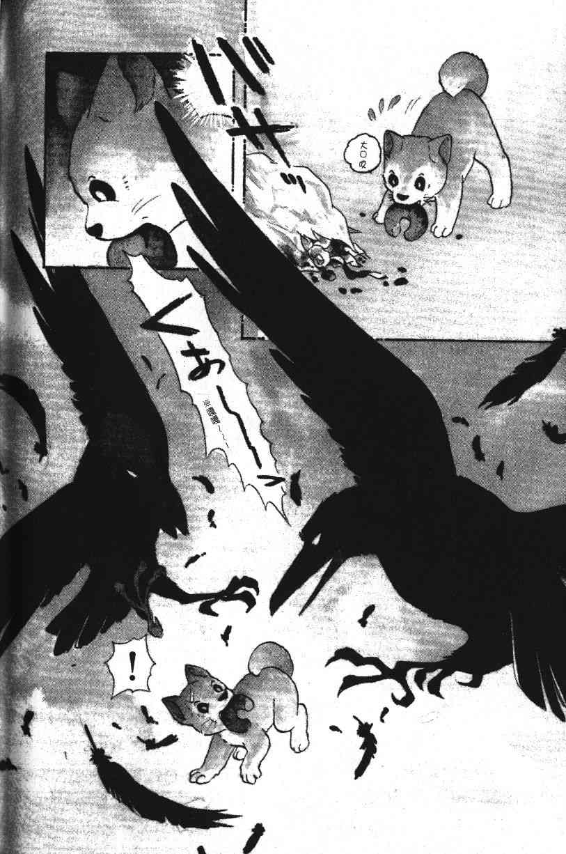 柴王 - VOL01 - 第149张图