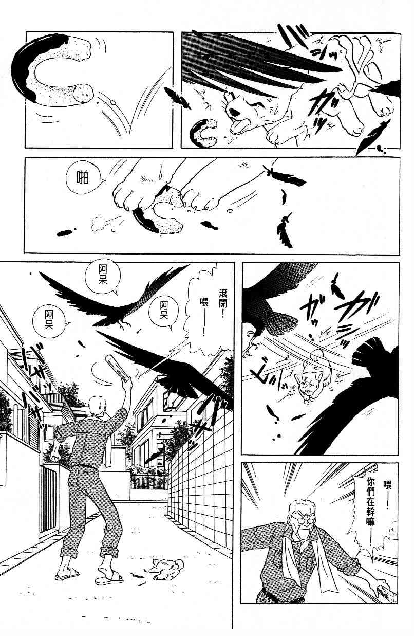 柴王 - VOL01 - 第150张图