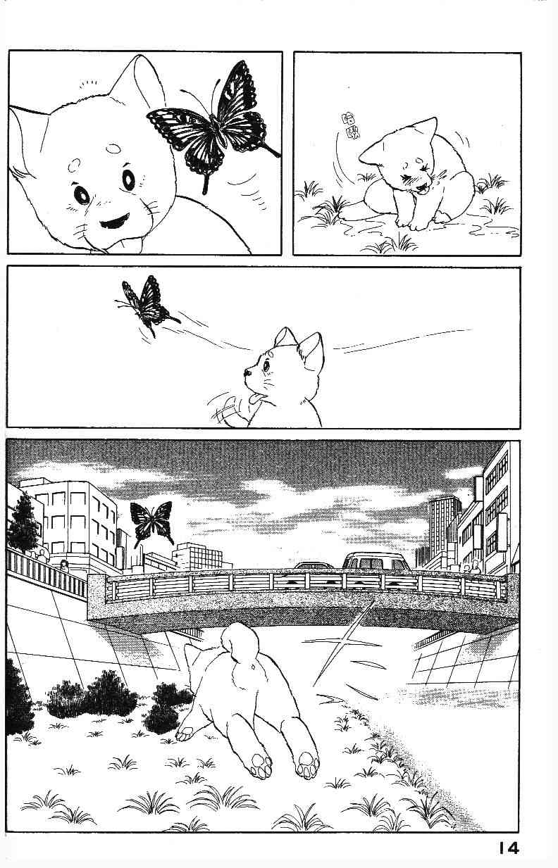 柴王 - VOL01 - 第17张图