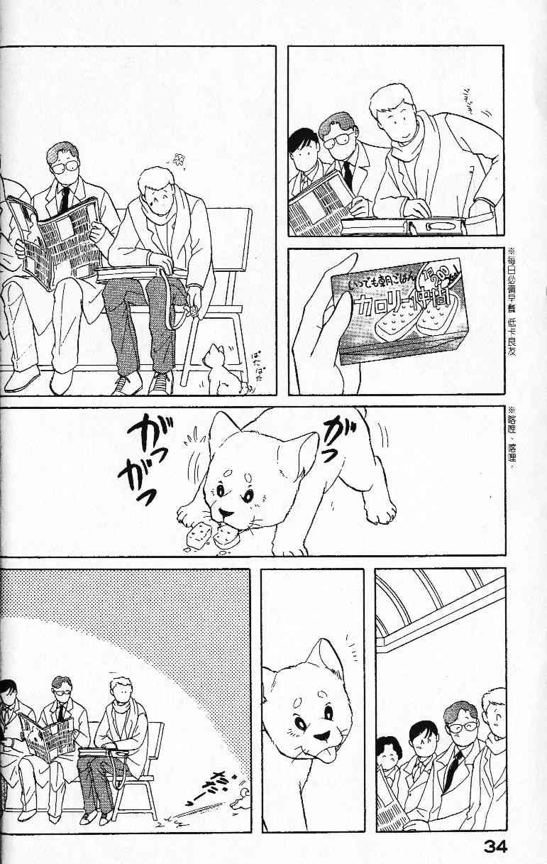 柴王 - VOL01 - 第37张图