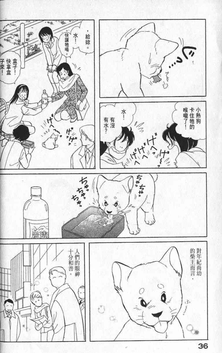 柴王 - VOL01 - 第39张图