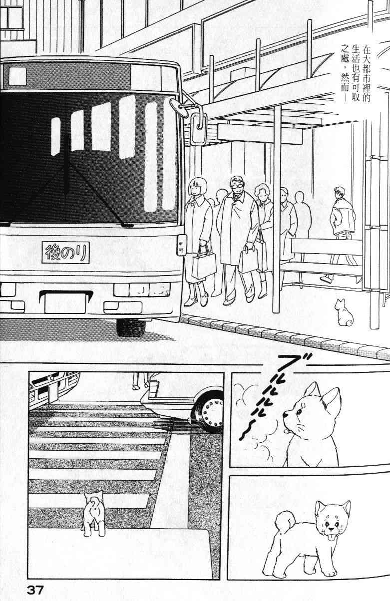 柴王 - VOL01 - 第40张图