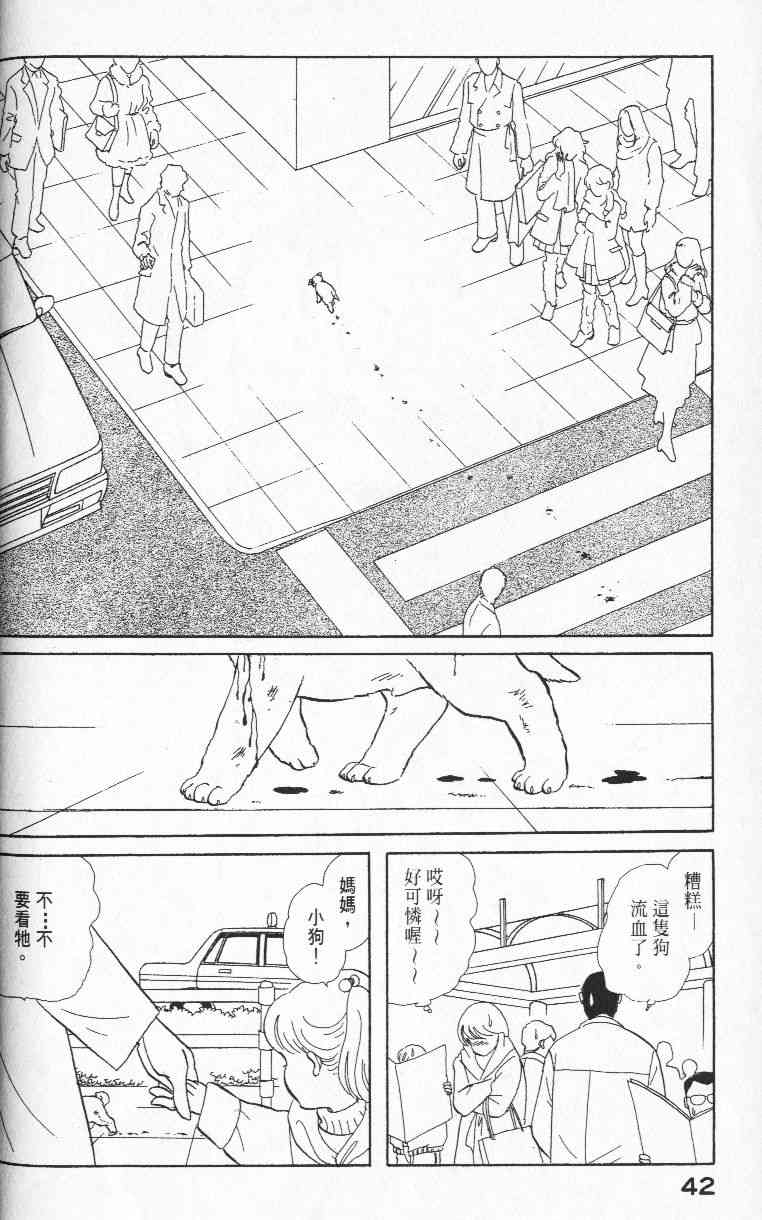 柴王 - VOL01 - 第45张图