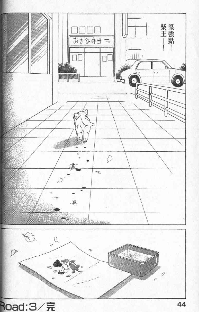 柴王 - VOL01 - 第47张图