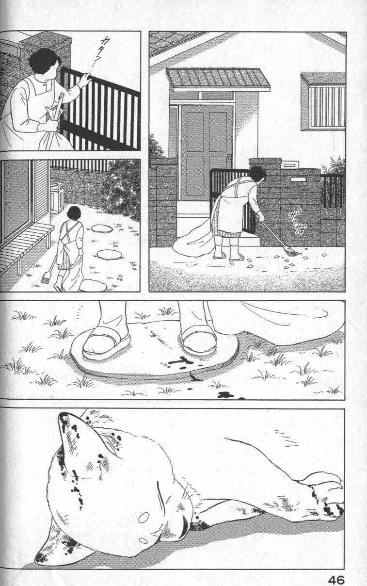 柴王 - VOL01 - 第49张图