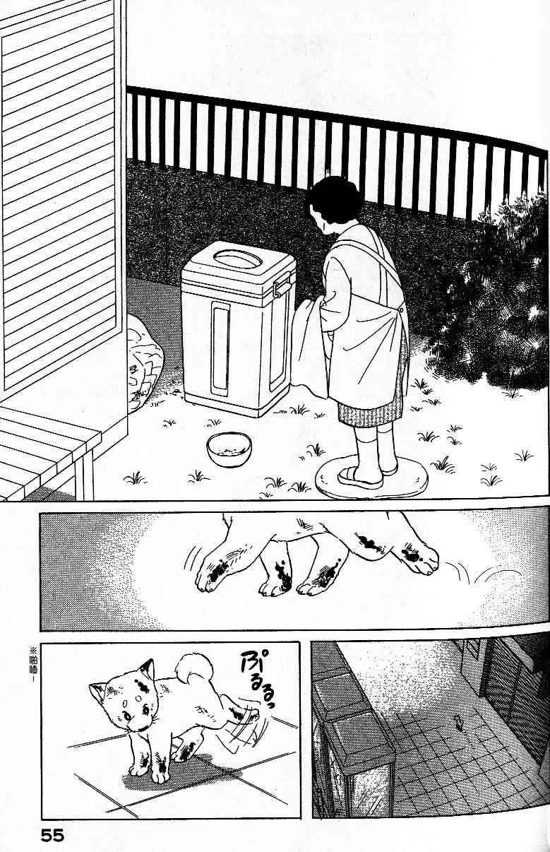 柴王 - VOL01 - 第58张图