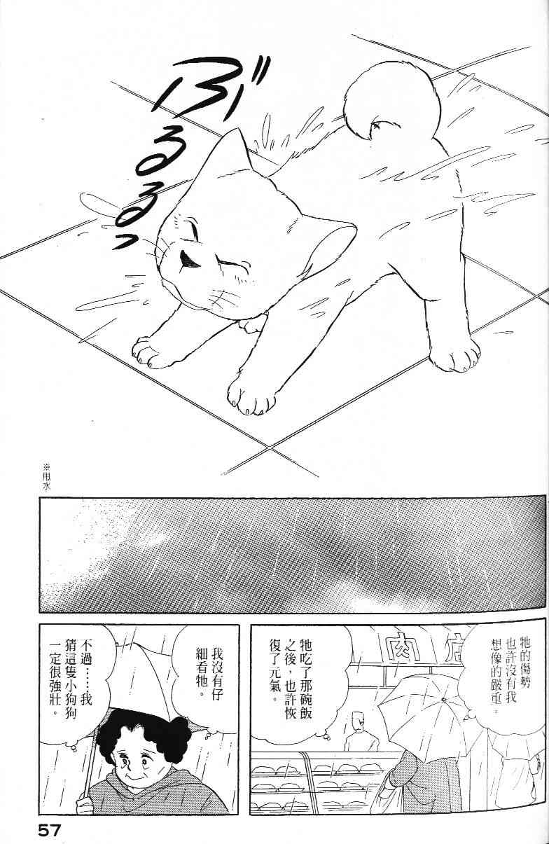 柴王 - VOL01 - 第60张图