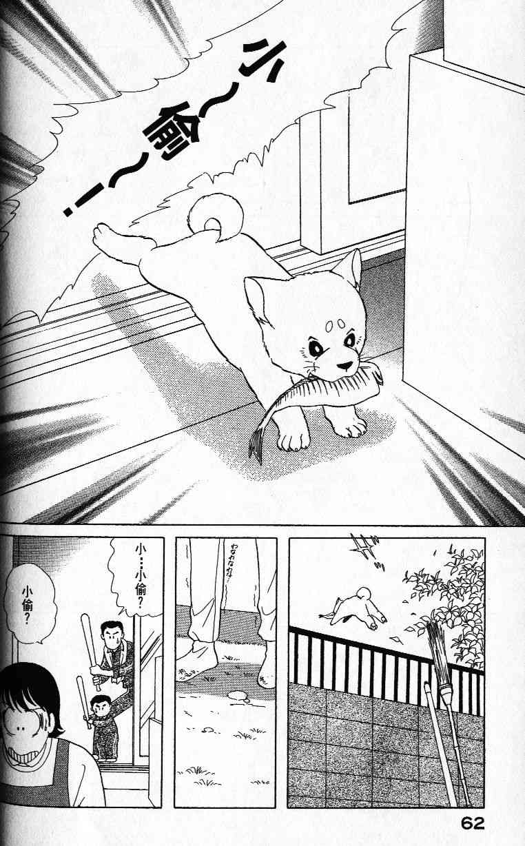 柴王 - VOL01 - 第65张图