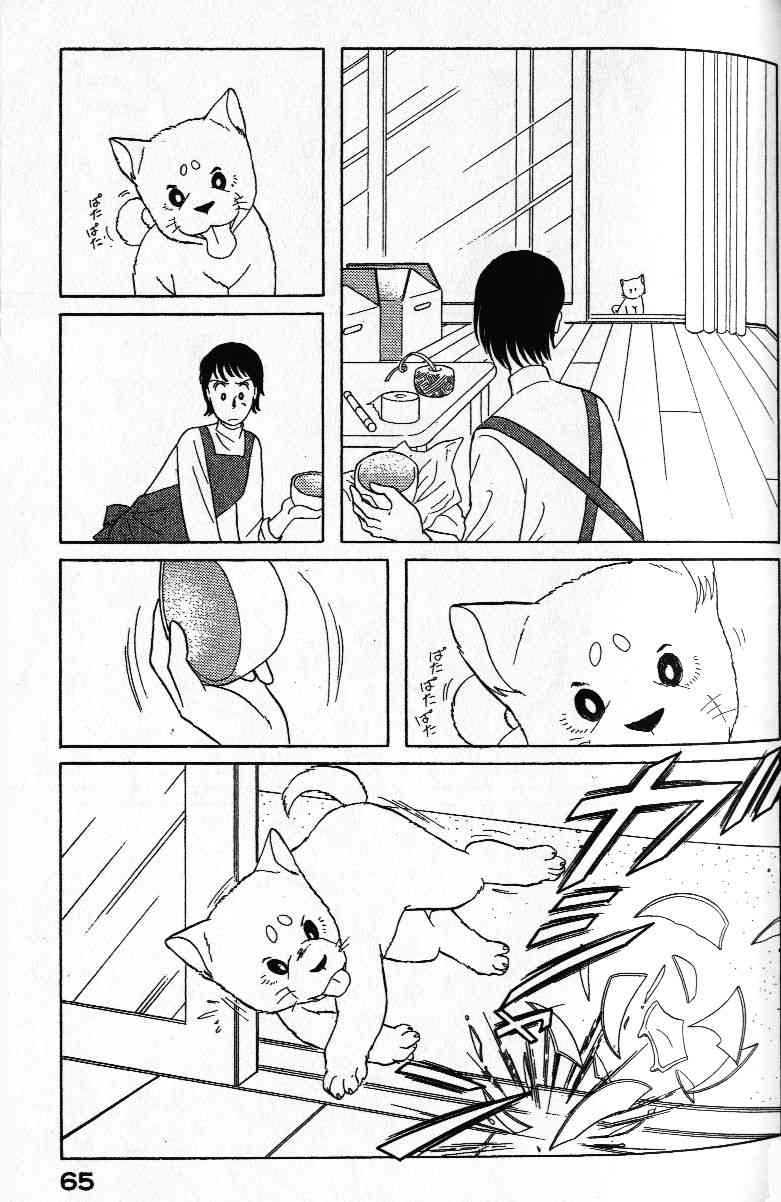 柴王 - VOL01 - 第68张图