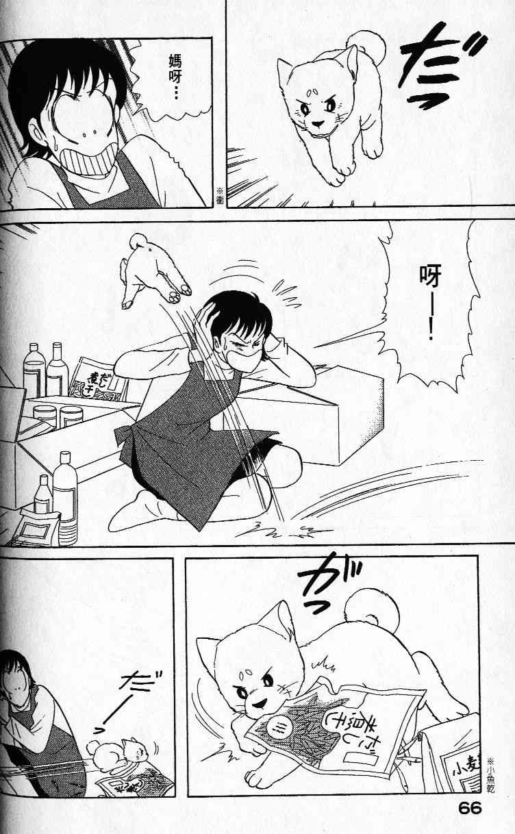 柴王 - VOL01 - 第69张图