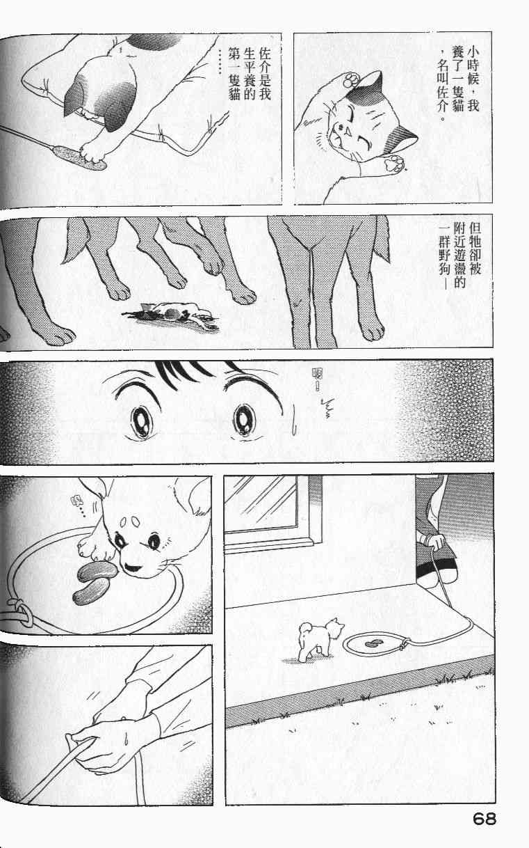 柴王 - VOL01 - 第71张图