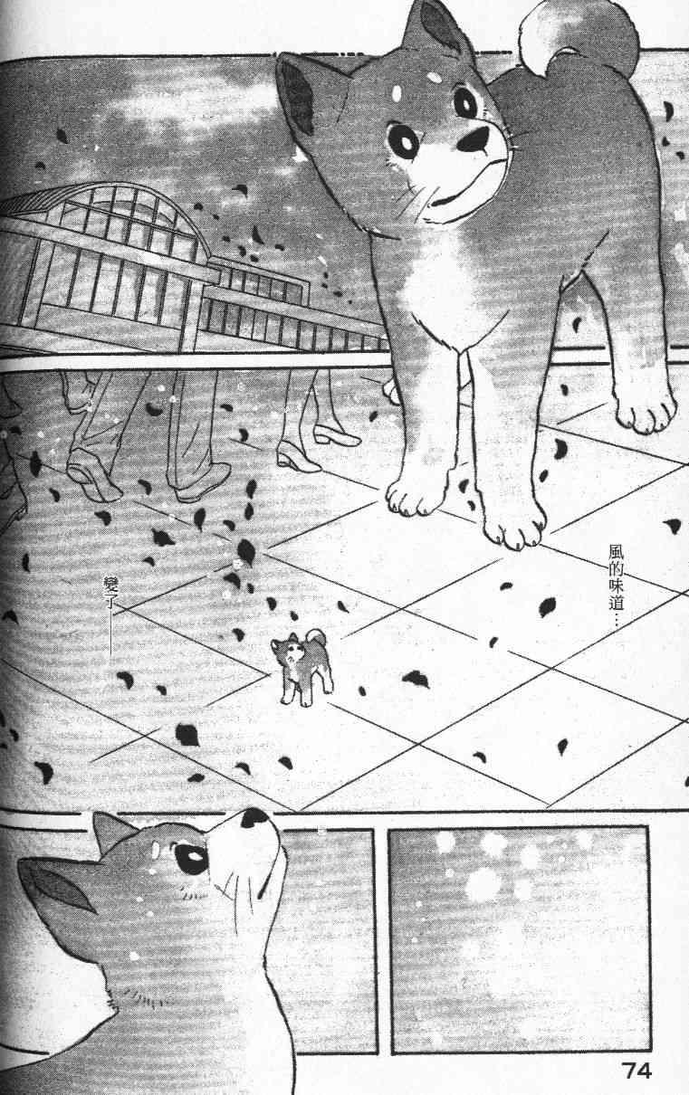 柴王 - VOL01 - 第77张图