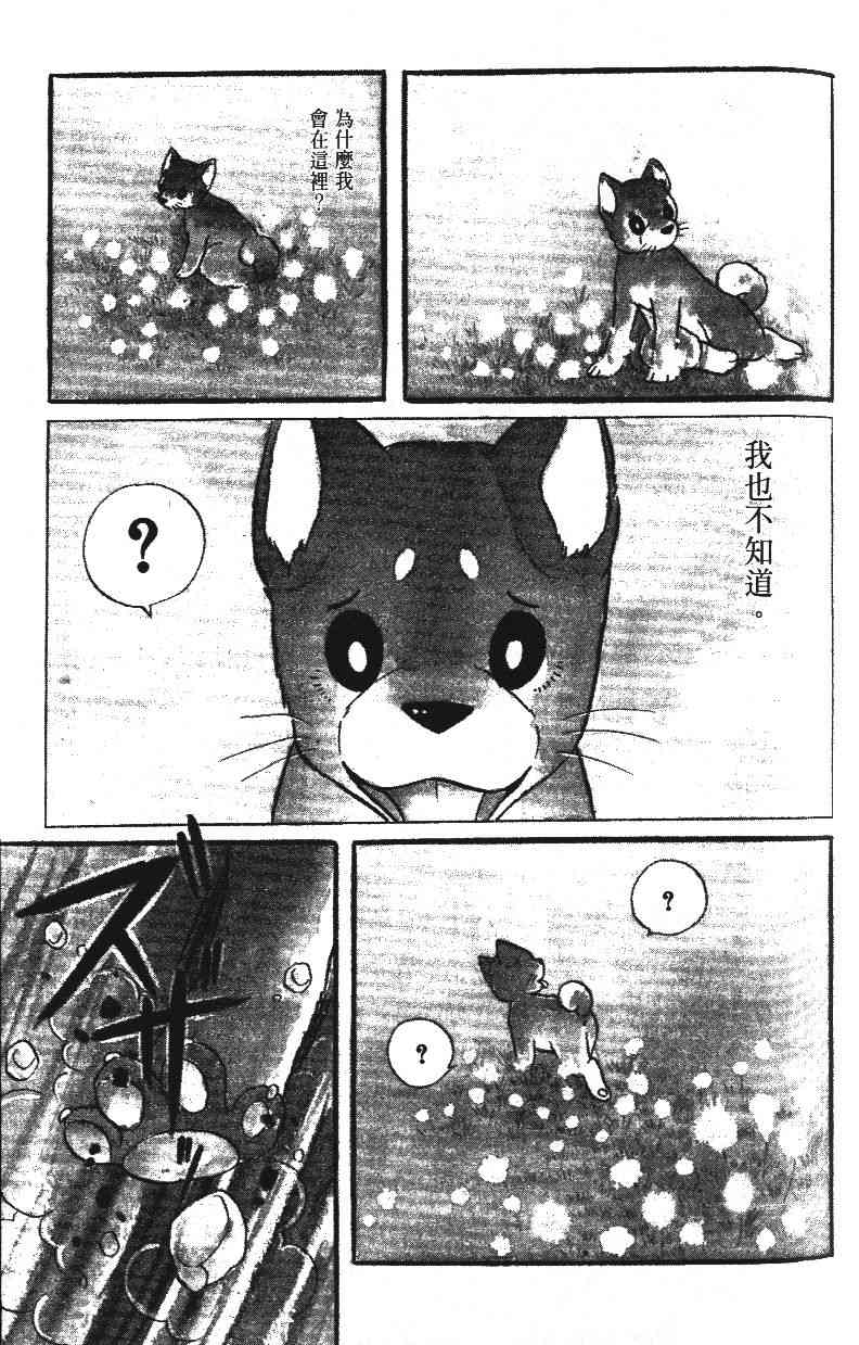 柴王 - VOL02 - 第105张图