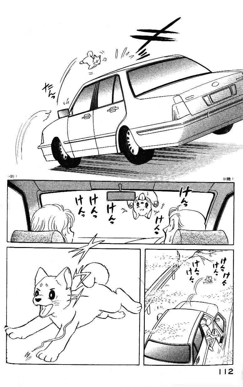 柴王 - VOL02 - 第114张图