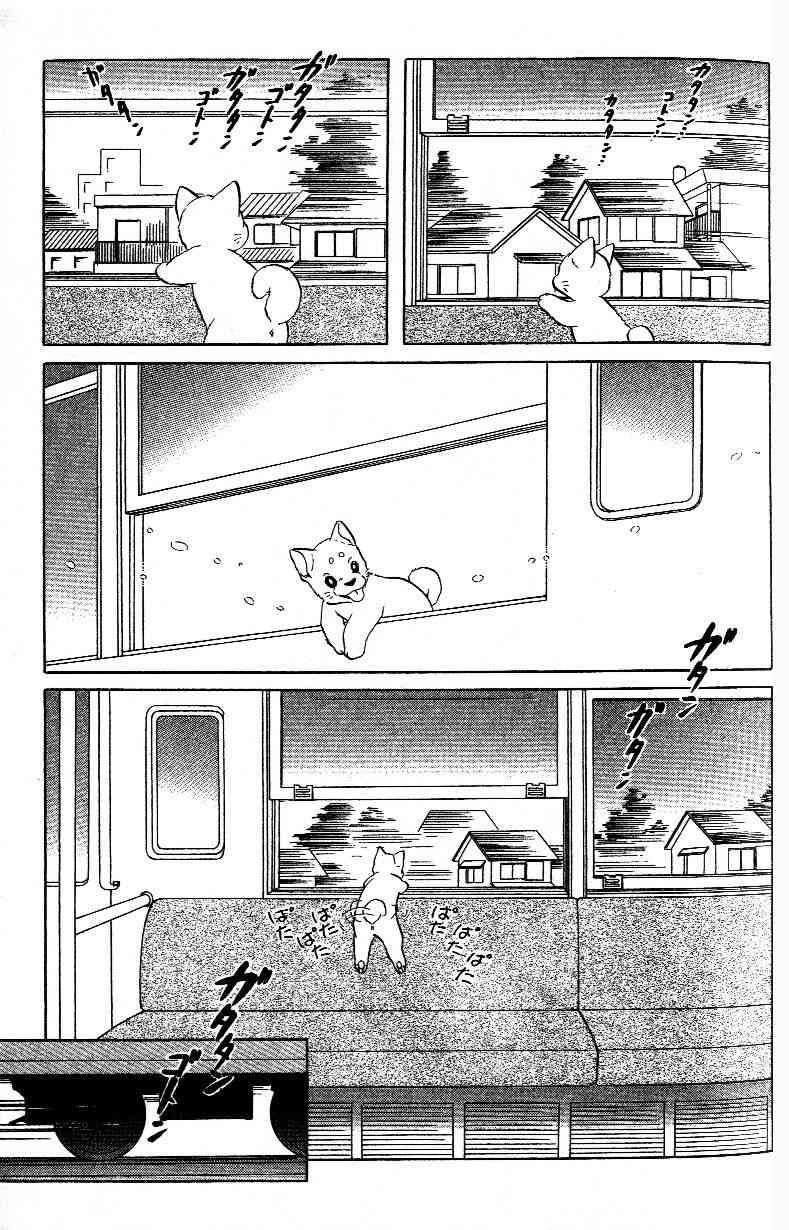 柴王 - VOL02 - 第12张图