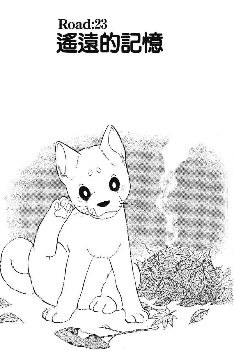 柴王 - VOL02 - 第145张图