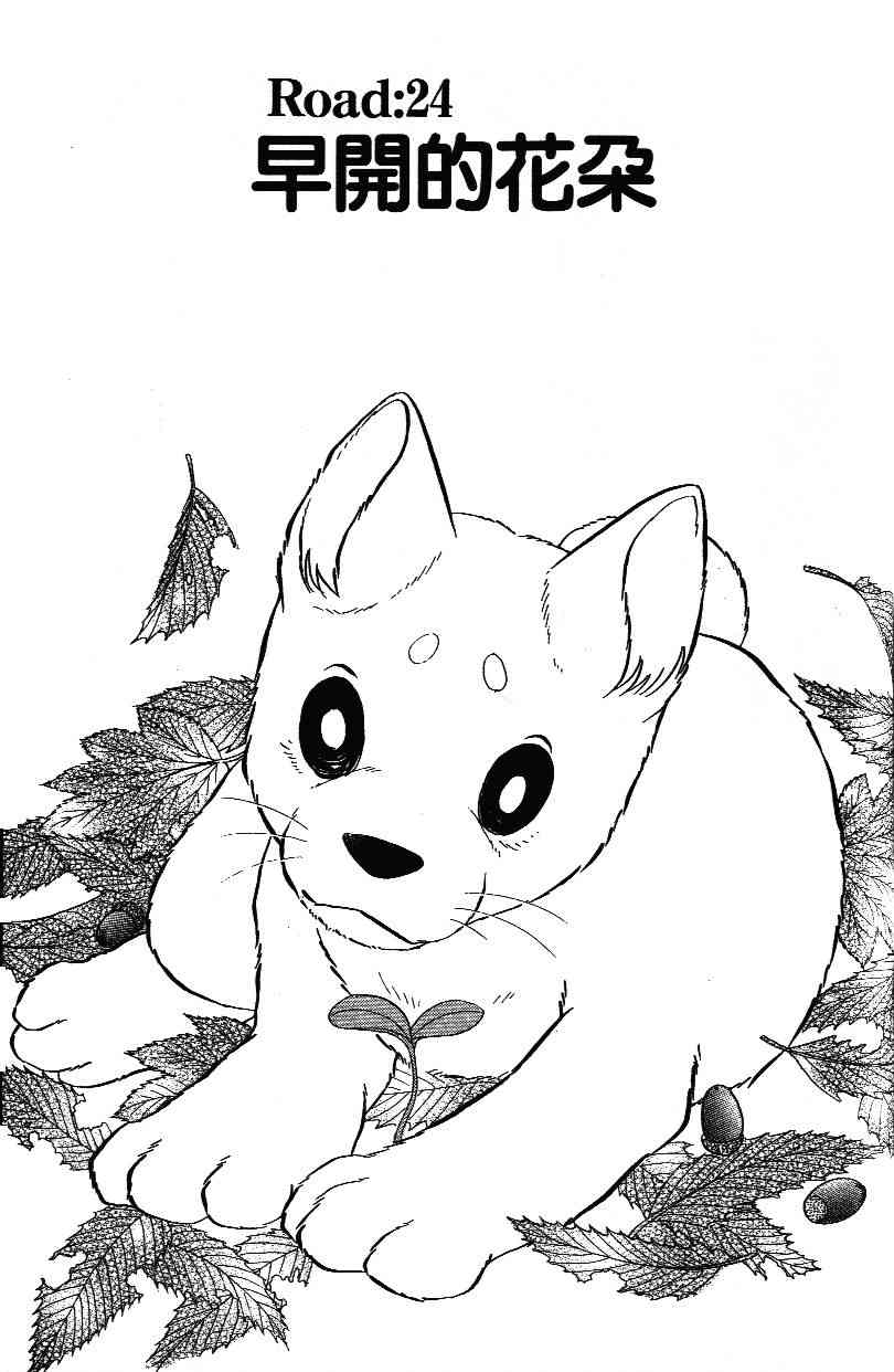 柴王 - VOL02 - 第159张图