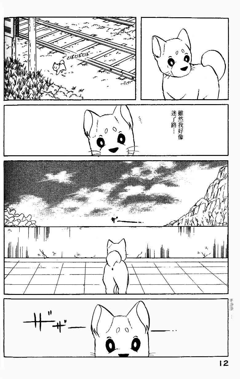 柴王 - VOL02 - 第15张图