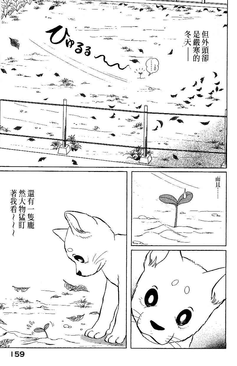 柴王 - VOL02 - 第161张图