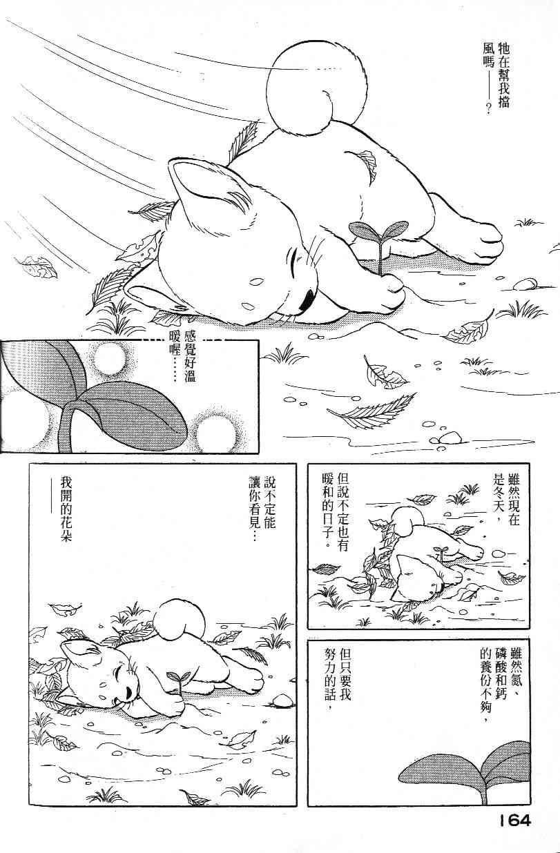 柴王 - VOL02 - 第166张图