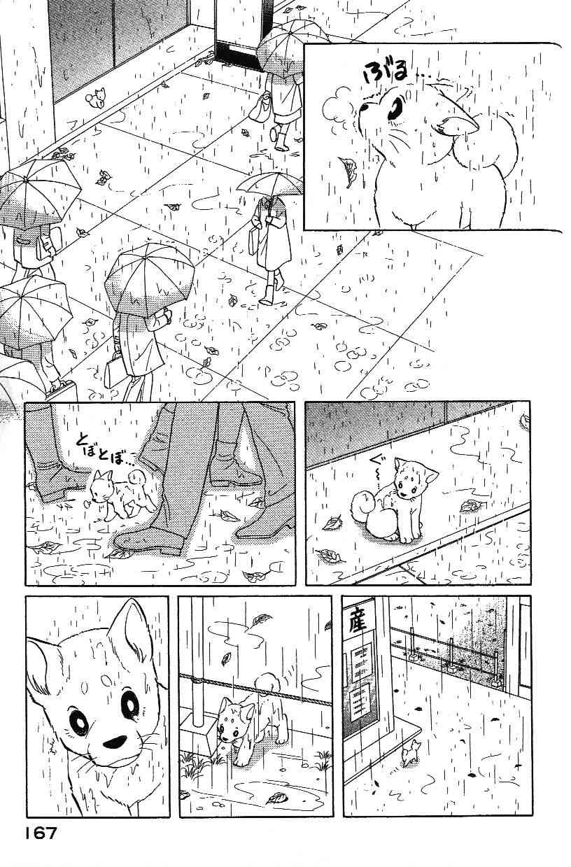 柴王 - VOL02 - 第169张图