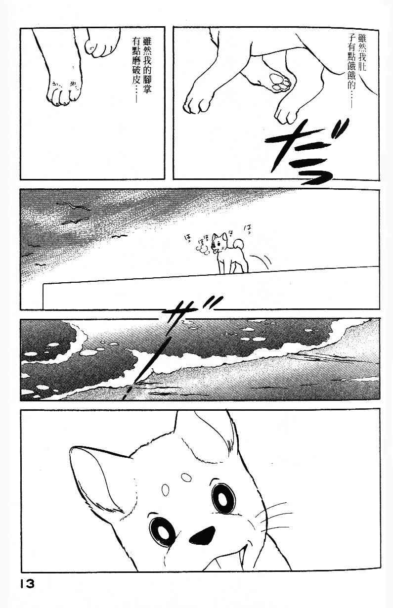 柴王 - VOL02 - 第16张图