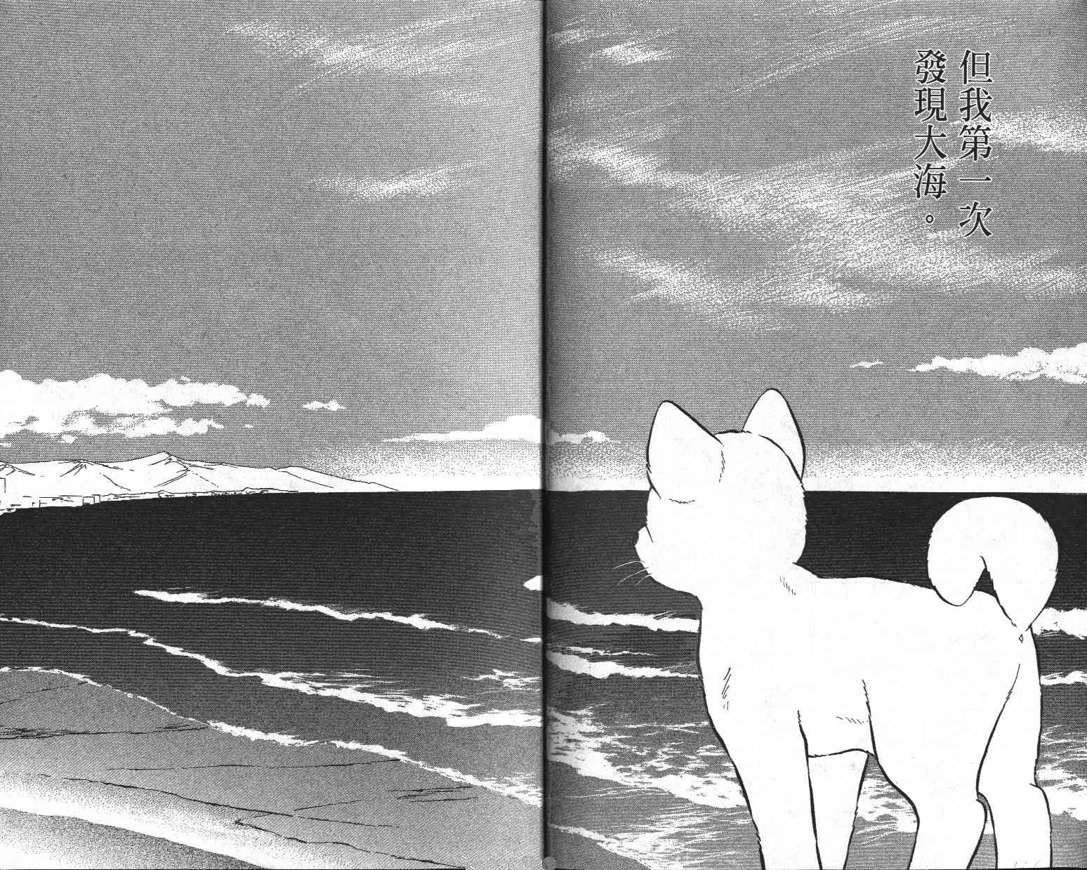 柴王 - VOL02 - 第17张图