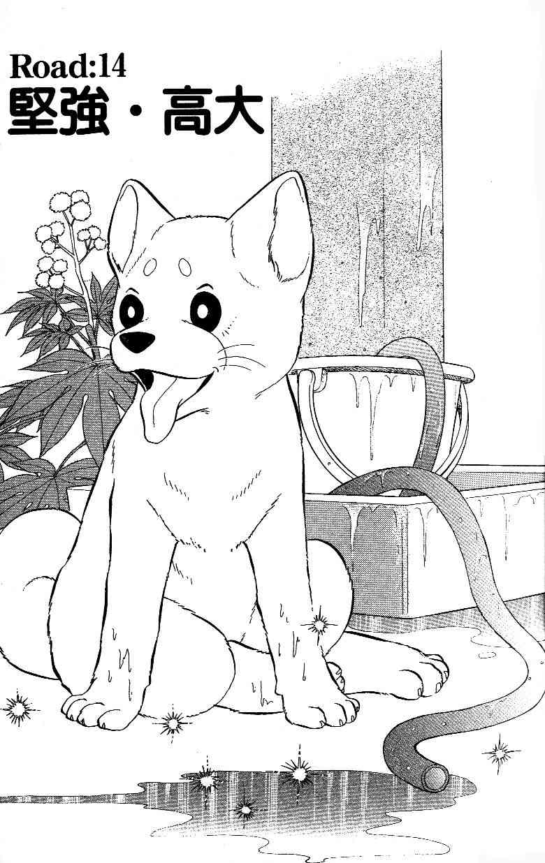 柴王 - VOL02 - 第19张图