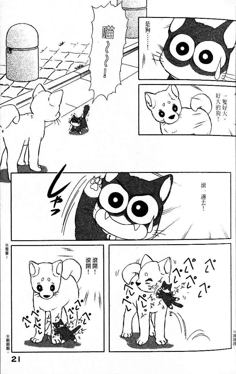 柴王 - VOL02 - 第23张图