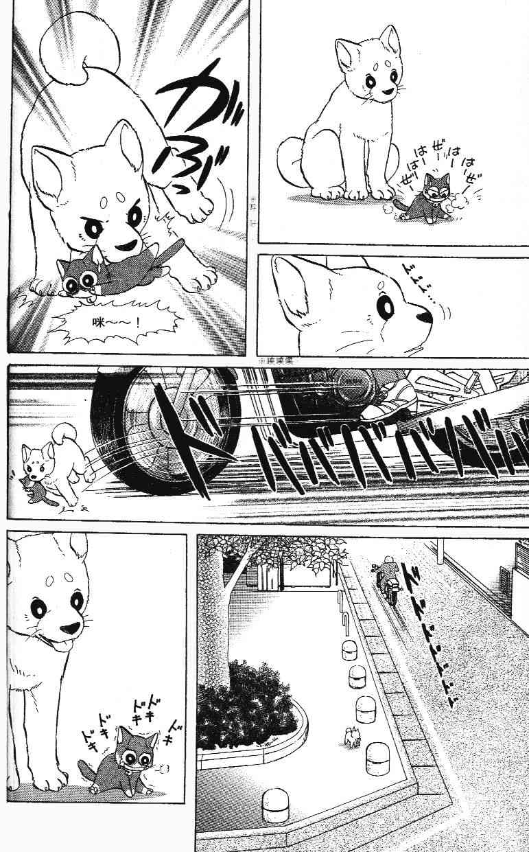 柴王 - VOL02 - 第24张图